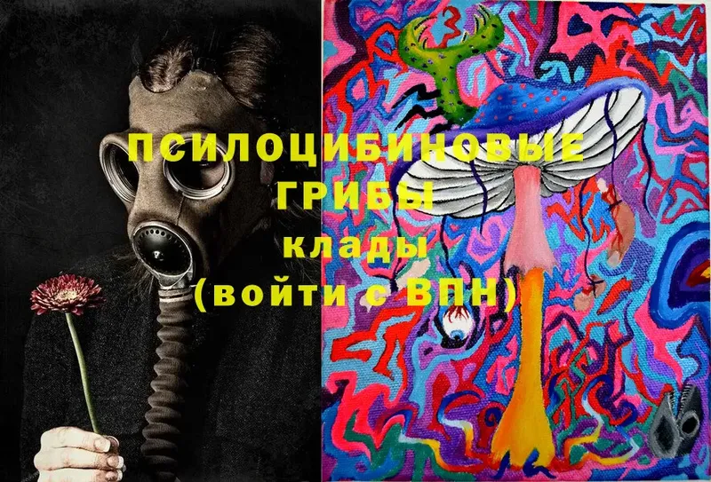 Псилоцибиновые грибы мицелий  Курлово 